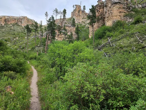 Iron Creek Hiking Trail: Through forest, meadow, hill and many times over the creek, this lushly green trail will provide ample opportunity to lose yourself in the woods.